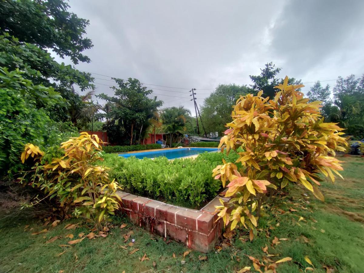 Opulence Resort Awas Alibaug アリバグ エクステリア 写真